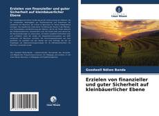 Erzielen von finanzieller und guter Sicherheit auf kleinbäuerlicher Ebene的封面