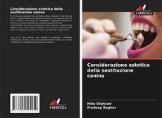 Обложка Considerazione estetica della sostituzione canina