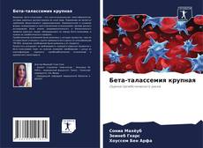 Capa do livro de Бета-талассемия крупная 