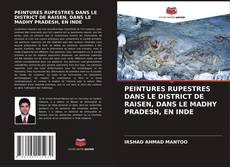 Capa do livro de PEINTURES RUPESTRES DANS LE DISTRICT DE RAISEN, DANS LE MADHY PRADESH, EN INDE 