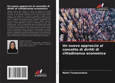 Portada del libro de Un nuovo approccio al concetto di diritti di cittadinanza economica