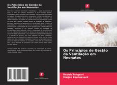 Bookcover of Os Princípios de Gestão da Ventilação em Neonatos
