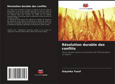 Résolution durable des conflits kitap kapağı