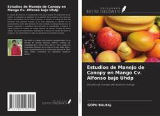 Couverture de Estudios de Manejo de Canopy en Mango Cv. Alfonso bajo Uhdp