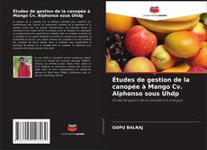 Copertina di Études de gestion de la canopée à Mango Cv. Alphonso sous Uhdp
