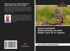 Couverture de Socio-economic determinants of child foster care (5-17 years)