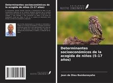 Buchcover von Determinantes socioeconómicos de la acogida de niños (5-17 años)