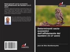 Buchcover von Determinanti socio-economici dell'affidamento dei bambini (5-17 anni)