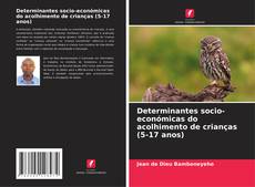 Couverture de Determinantes socio-económicas do acolhimento de crianças (5-17 anos)