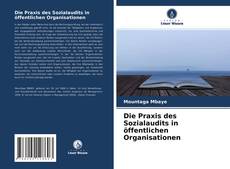 Copertina di Die Praxis des Sozialaudits in öffentlichen Organisationen