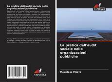 La pratica dell'audit sociale nelle organizzazioni pubbliche的封面