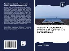 Capa do livro de Практика социального аудита в общественных организациях 