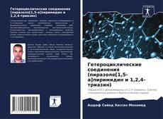 Portada del libro de Гетероциклические соединения (пиразоло[1,5-а]пиримидин и 1,2,4-триазин)