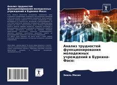 Copertina di Анализ трудностей функционирования молодежных учреждений в Буркина-Фасо: