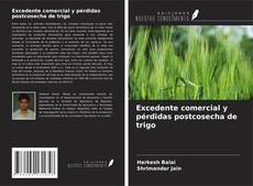 Couverture de Excedente comercial y pérdidas postcosecha de trigo