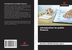 Introduction to public finance的封面