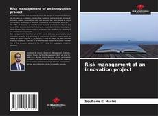 Risk management of an innovation project的封面