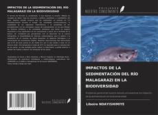 Couverture de IMPACTOS DE LA SEDIMENTACIÓN DEL RÍO MALAGARAZI EN LA BIODIVERSIDAD