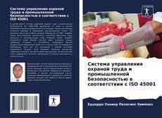Copertina di Система управления охраной труда и промышленной безопасностью в соответствии с ISO 45001