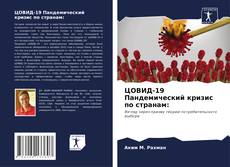 Copertina di ЦОВИД-19 Пандемический кризис по странам: