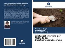 Обложка Leistungsbewertung der Methode der Oberflächenbewässerung