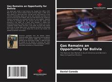 Gas Remains an Opportunity for Bolivia的封面