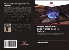 Le gaz reste une opportunité pour la Bolivie kitap kapağı