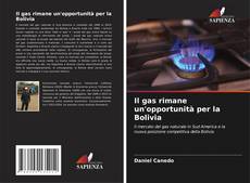 Il gas rimane un'opportunità per la Bolivia的封面