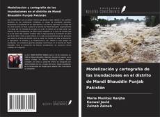Modelización y cartografía de las inundaciones en el distrito de Mandi Bhauddin Punjab Pakistán kitap kapağı
