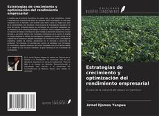 Estrategias de crecimiento y optimización del rendimiento empresarial kitap kapağı