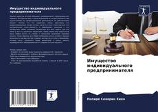 Обложка Имущество индивидуального предпринимателя