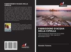 FABBISOGNO D'ACQUA DELLA CIPOLLA的封面