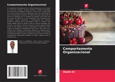Borítókép a  Comportamento Organizacional - hoz
