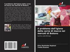 Il problema dell'igiene della carne di mucca nei mercati di Bukavu的封面