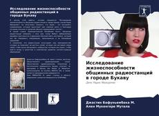 Обложка Исследование жизнеспособности общинных радиостанций в городе Букаву