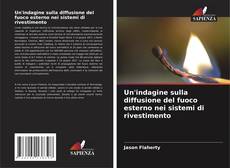 Bookcover of Un'indagine sulla diffusione del fuoco esterno nei sistemi di rivestimento