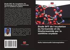 Buchcover von Étude DFT de l'oxydation du formamide et du thioformamide par la xanthine oxydase