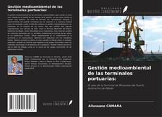 Gestión medioambiental de las terminales portuarias: kitap kapağı