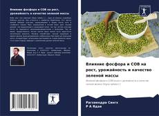 Borítókép a  Влияние фосфора и СОВ на рост, урожайность и качество зеленой массы - hoz