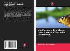 Portada del libro de Um Estudo sobre Idade, Crescimento e Tamanho Colheitável