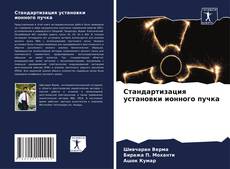 Buchcover von Стандартизация установки ионного пучка