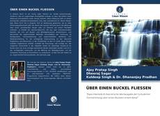 ÜBER EINEN BUCKEL FLIESSEN kitap kapağı