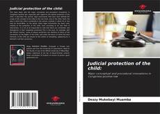 Обложка Judicial protection of the child: