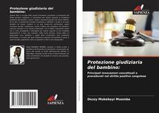 Protezione giudiziaria del bambino:的封面