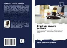 Обложка Судебная защита ребенка: