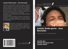 Portada del libro de Lesión Endo-perio - Una Revisión