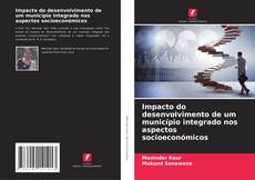 Copertina di Impacto do desenvolvimento de um município integrado nos aspectos socioeconómicos