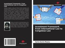 Bookcover of Investment Framework. From International Law to Congolese Law