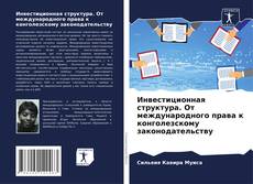 Обложка Инвестиционная структура. От международного права к конголезскому законодательству
