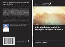 Cálculo del potencial de recogida de agua de lluvia kitap kapağı